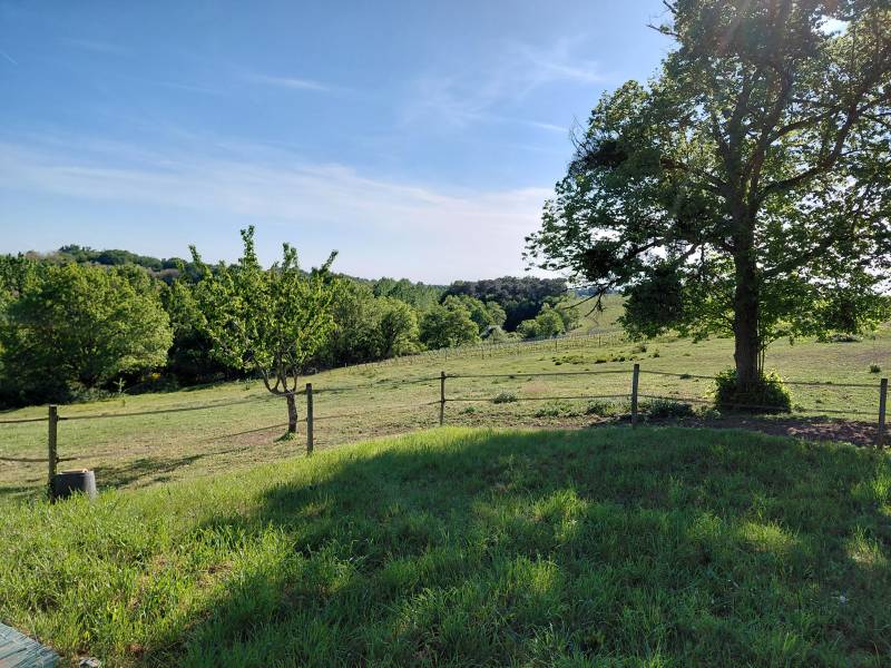 Gîte rural avec chevaux à proximité en Entre-Deux-Mers près de Libourne