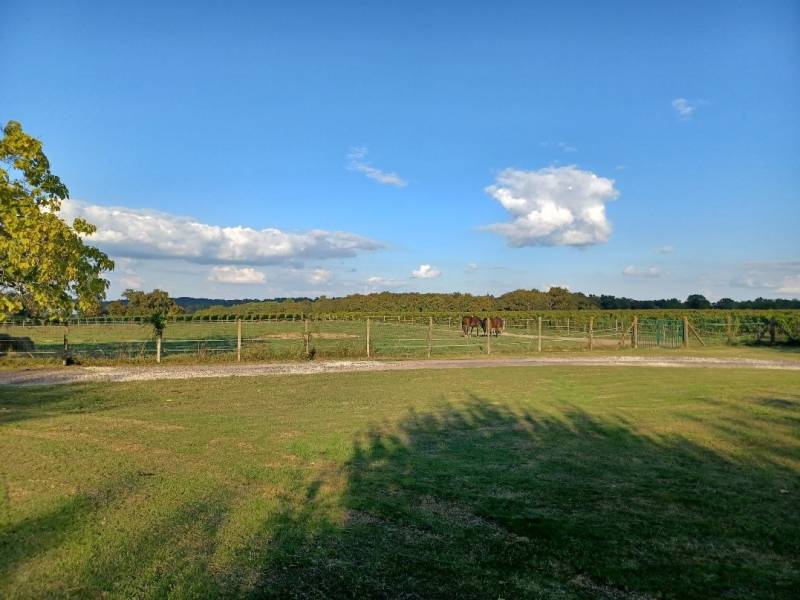 Hébergement pour les vacances de Toussaint dans l'entre deux mers