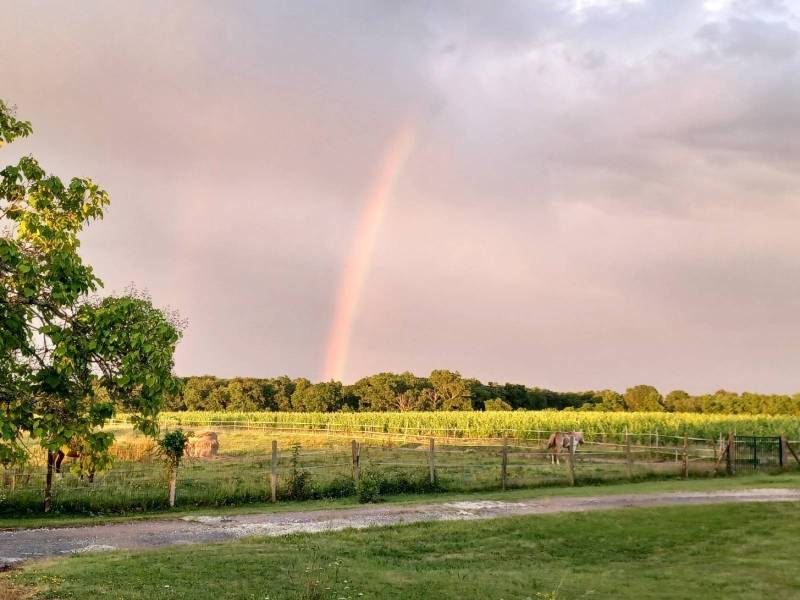 Week end nature près de Bordeaux au mas des 3 châteaux