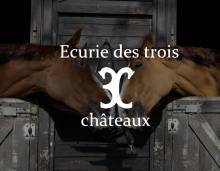 Nos prestations sur le secteur de proche de Bordeaux (33), Gironde
