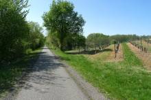 Notre zone d'activité pour ce service Séjour avec hébergement et activités sportives ou loisirs