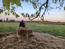 Nos prestations sur le secteur de proche de Saint-Émilion (33) en Gironde